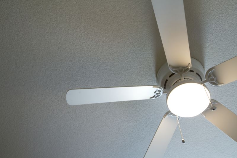 Elegant Ceiling Fan Fixture
